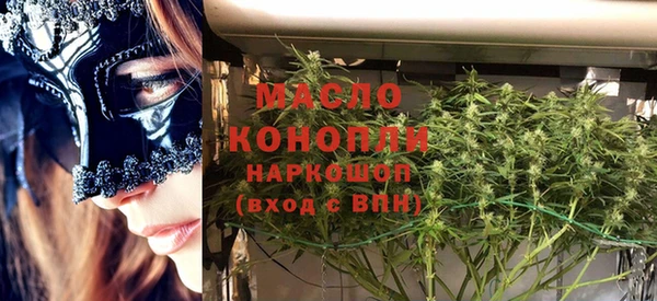 твердый Новозыбков