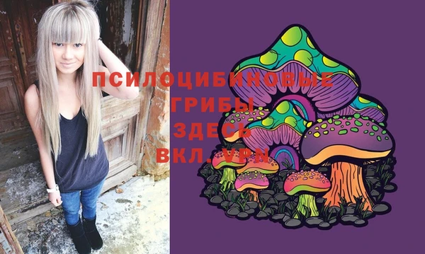 мдма Новодвинск