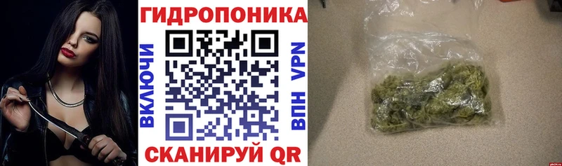 Канабис OG Kush  Сухой Лог 